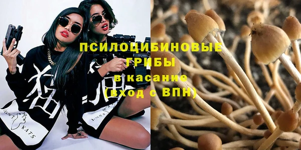 гидропоника Карталы