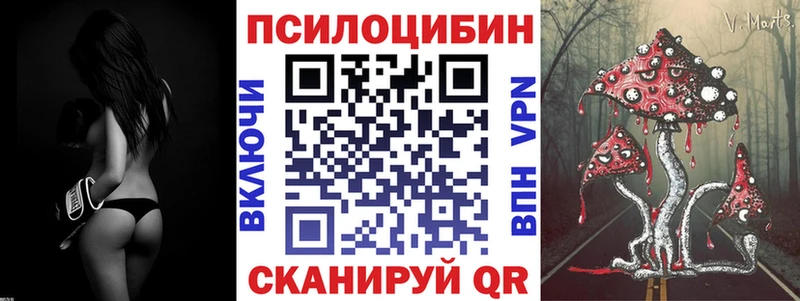 Купить закладки  Заречный  Псилоцибиновые грибы Psilocybe 